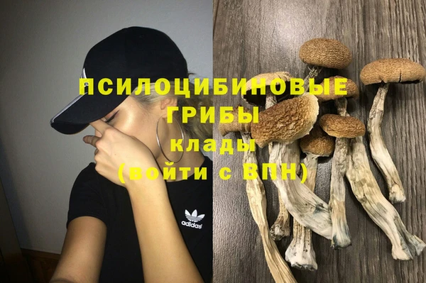 кокаин премиум Карпинск